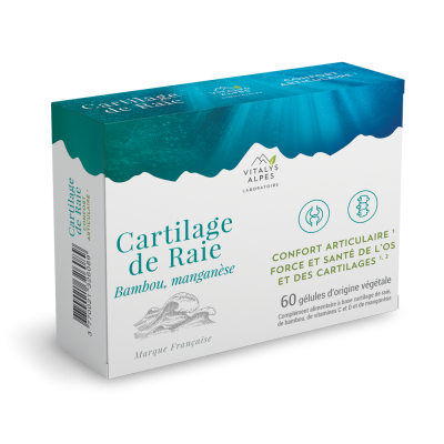 Complément alimentaire à base de cartilage de raie, bambou, manganèse et vitamines C et D pour le confort de vos articulations