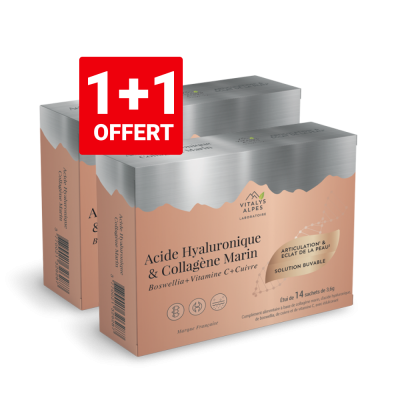 acide hyaluronique vitalys alpes