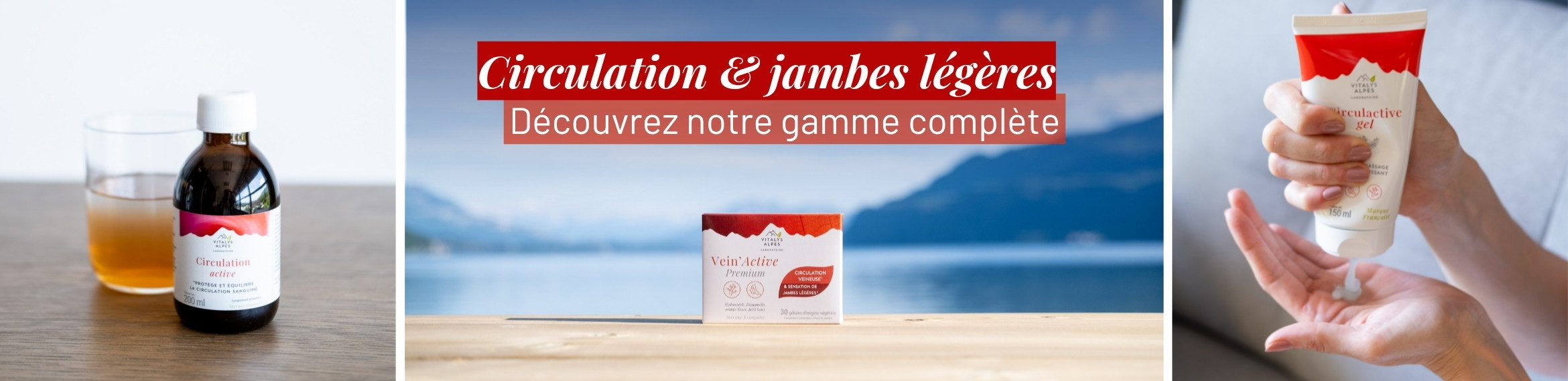 Vitalys Alpes